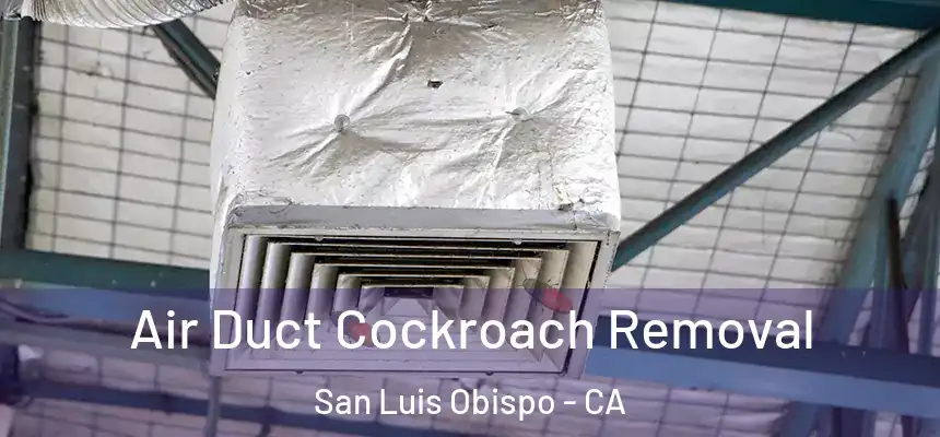 Air Duct Cockroach Removal San Luis Obispo - CA
