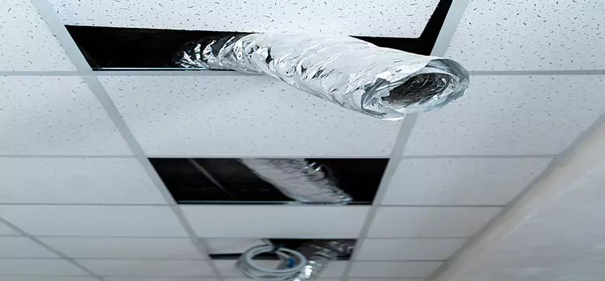 Affordable HVAC Sanitizing After Pest Removal in San Luis Obispo