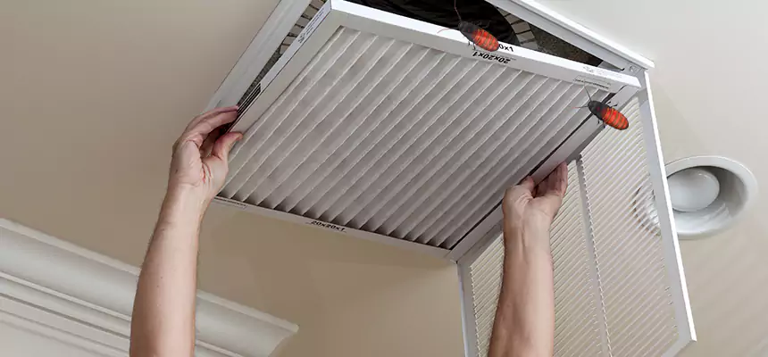 Our Insect Removal from Air Ducts Services in San Luis Obispo, CA