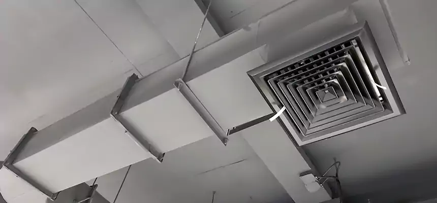 Our Pest Removal From Ducts Services in San Luis Obispo, CA