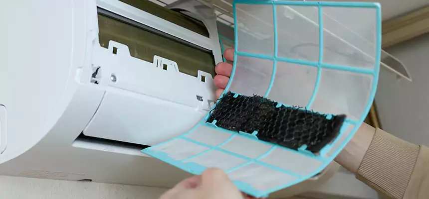 Gentle Ductwork Odor-Control Pet Dander Duct Cleaning in San Luis Obispo, CA