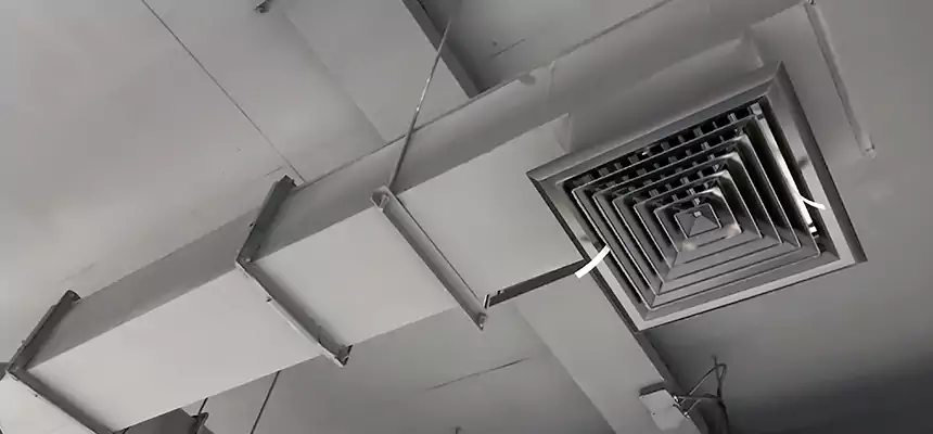 Our Rodent Droppings In Vents Services in San Luis Obispo, CA