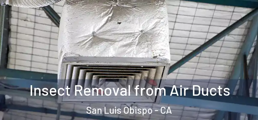 Insect Removal from Air Ducts San Luis Obispo - CA