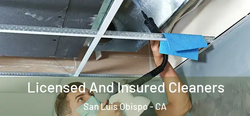 Licensed And Insured Cleaners San Luis Obispo - CA