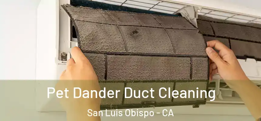 Pet Dander Duct Cleaning San Luis Obispo - CA