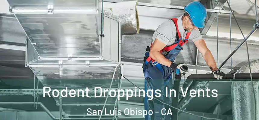 Rodent Droppings In Vents San Luis Obispo - CA
