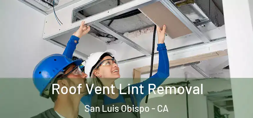Roof Vent Lint Removal San Luis Obispo - CA