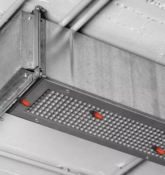 About Air Duct Cockroach Removal in San Luis Obispo, CA