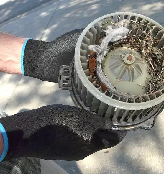 About Air Duct Mice Removal in San Luis Obispo, CA