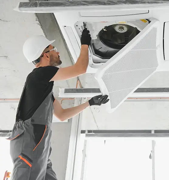 About Air Duct Rodent Removal in San Luis Obispo, CA