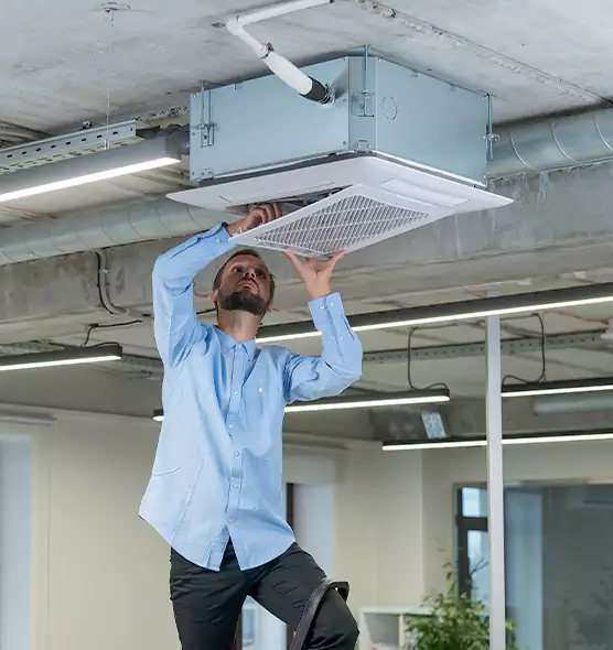 Advanced Rodent Droppings In Vents in San Luis Obispo, CA