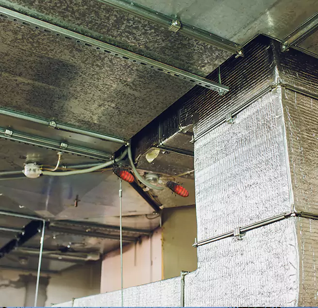 Why Homeowners & Businesses Trust Us in San Luis Obispo, CA?