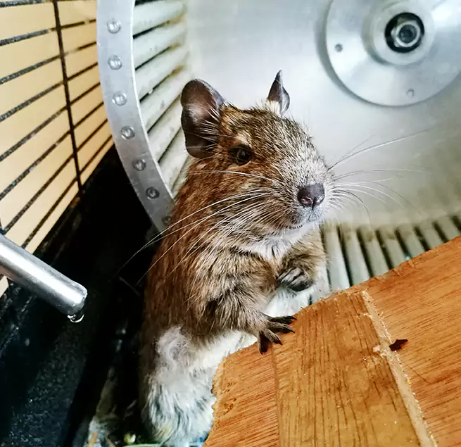 Why Homeowners & Businesses Trust Us San Luis Obispo, CA