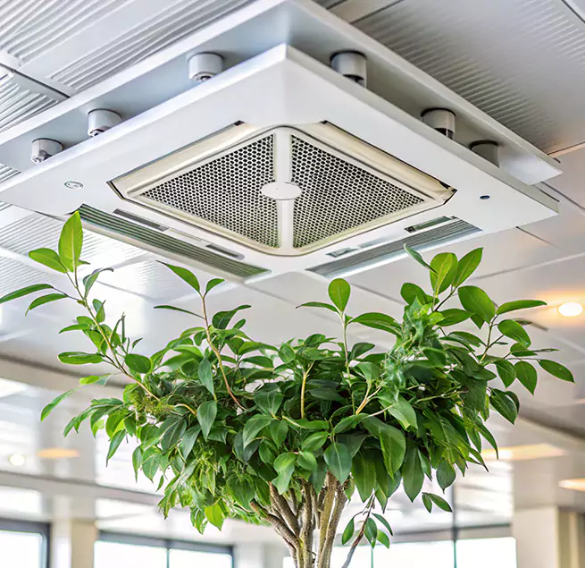 Why Homeowners & Businesses Trust Us in San Luis Obispo, CA?